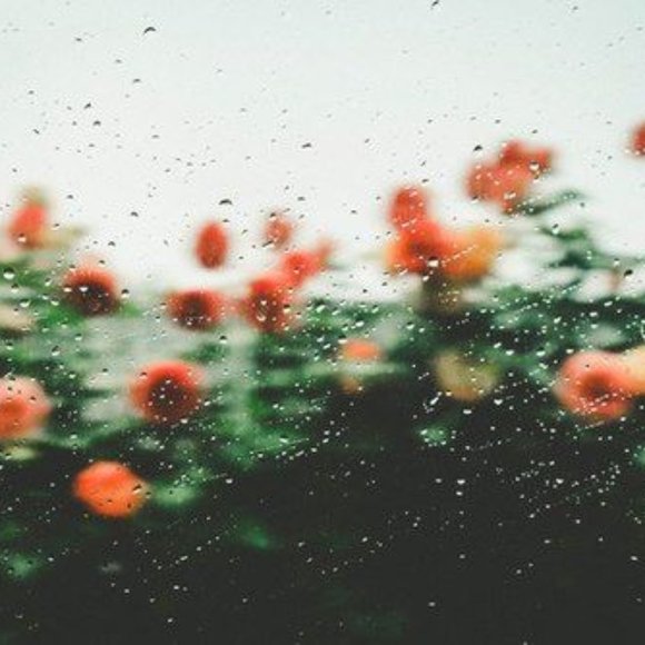 Meet your Posher, Lia - Picture 1 of 1